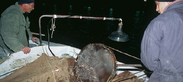 La pêche au lamparo avec des Leds