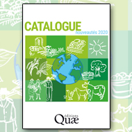 Notre catalogue "Nouveautés 2020" est disponible !