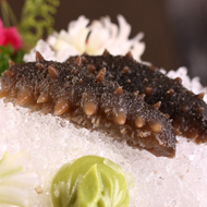 Qu’est-ce qu’un concombre de mer ?