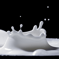 Le lait et les produits laitiers sont-ils bons pour la santé ?