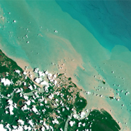 Le littoral guyanais, unique au monde