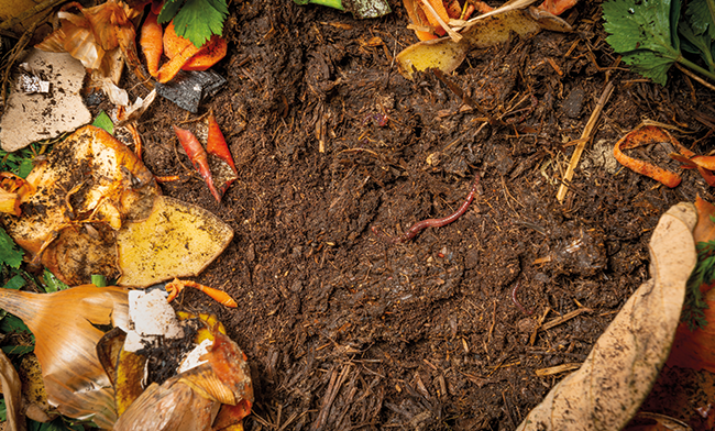 La bio-raffinerie environnementale, les microbes au travail