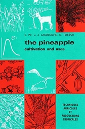 The pineapple