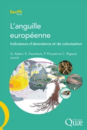 L'anguille européenne