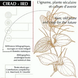 L'igname, plante séculaire et culture d'avenir/Yam, Old Plant and Crop for the Future