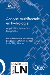 Analyse multifractale en hydrologie