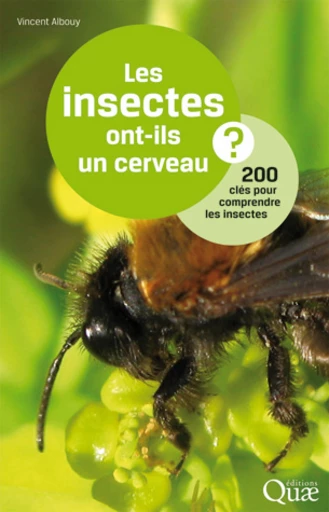 Les insectes ont-ils un cerveau ? - Vincent Albouy - Éditions Quae