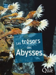 Les trésors des abysses