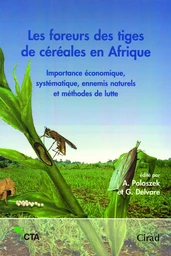 Les foreurs des tiges de céréales en Afrique