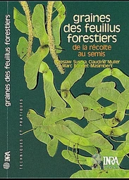 Graines des feuillus forestiers