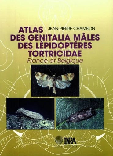 Atlas des genitalia mâles des Lépidoptères Tortricidae de France et Belgique - Jean-Pierre Chambon - Inra