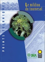 Le mildiou du tournesol