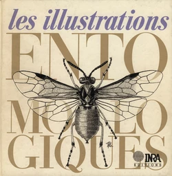 Les illustrations entomologiques