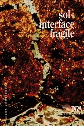 Sol : interface fragile