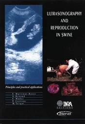 Ultrasonography and reproduction in swine