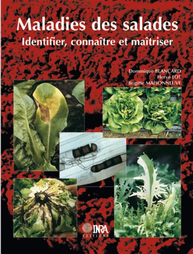 Maladies des salades - Hervé Lot, Brigitte Maisonneuve, Dominique Blancard - Inra