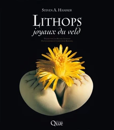 Lithops