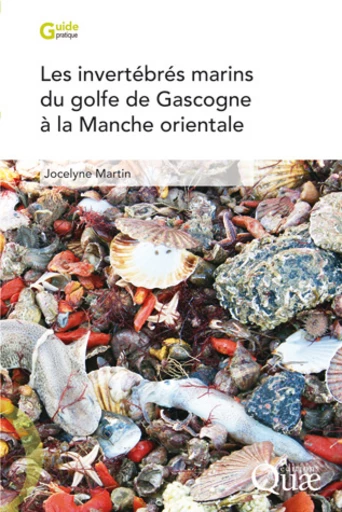 Les invertébrés marins du golfe de Gascogne à la Manche orientale - Jocelyne Martin - Éditions Quae