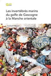 Les invertébrés marins du golfe de Gascogne à la Manche orientale