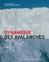 Dynamique des avalanches