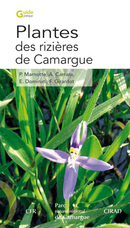 Plantes des rizières de Camargue