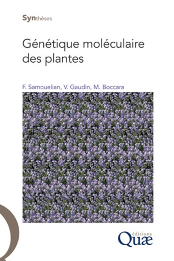 Génétique moléculaire des plantes - Frank Samouelian, Valérie Gaudin, Martine Boccara - Éditions Quae