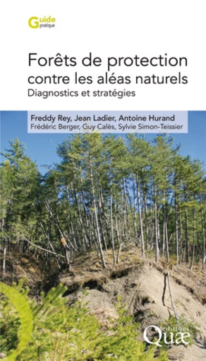 Forêts de protection contre les aléas naturels - Jean Ladier, Freddy Rey, Antoine Hurand, Frédéric Berger, Guy Calès, Sylvie Simon-Teissier - Éditions Quae