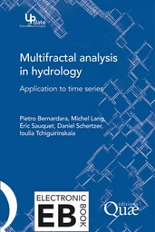 Multifractal analysis in hydrology