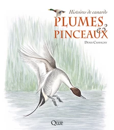 Plumes et pinceaux