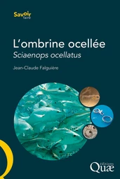 L'ombrine ocellée (sciaenops ocellatus)