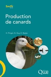 Production de canards