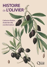 Histoire de l'olivier