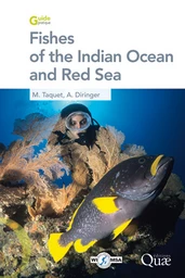 Fishes of the Indian Ocean and Red Sea