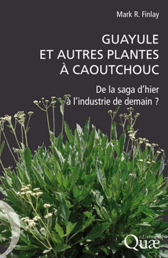 Guayule et autres plantes à caoutchouc - Mark R. Finlay - Éditions Quae