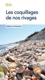 Les coquillages de nos rivages