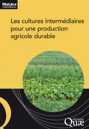 Les cultures intermédiaires pour une production agricole durable -  Collectif - Éditions Quae