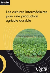 Les cultures intermédiaires pour une production agricole durable