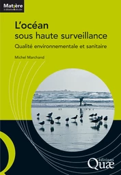 L'océan sous haute surveillance