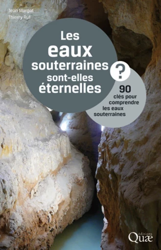 Les eaux souterraines sont-elles éternelles ? - Jean Margat, Thierry Ruf - Éditions Quae