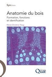 Anatomie du bois