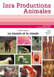 Le muscle et  la viande