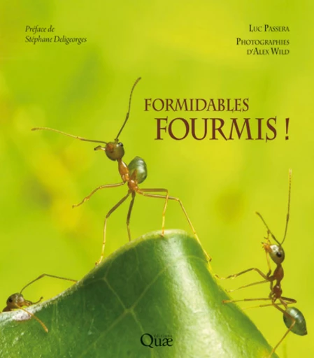 Formidables fourmis ! - Luc Passera - Éditions Quae