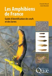 Les amphibiens de France