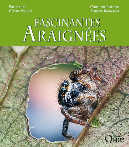 Fascinantes araignÃ©es - Christine Rollard - Quae