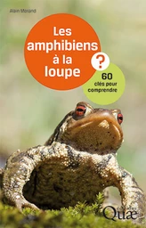 Les amphibiens à la loupe