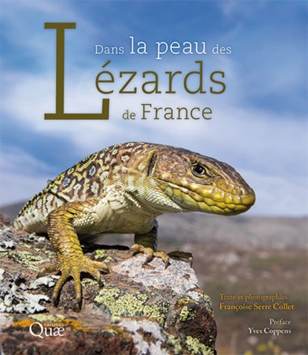 Dans la peau des lézards de France - Françoise Serre Collet - Éditions Quae