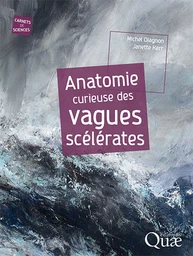 Anatomie curieuse des vagues scélérates