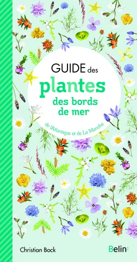 Guide des plantes des bords de mer - Christian Bock - Belin