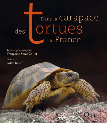 Dans la carapace des tortues de France - Françoise Serre Collet - Éditions Quae