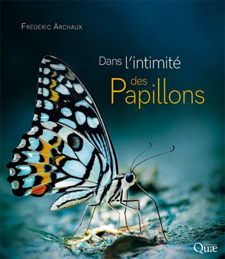 Dans l'intimité des papillons - Frédéric Archaux - Éditions Quae